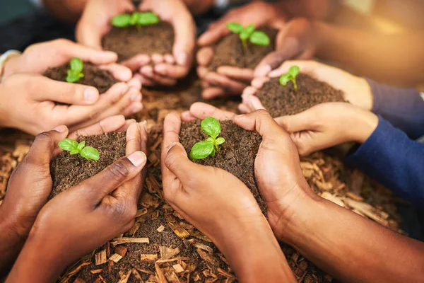 Success Starts Tiny Little Seed Group People Holding Plants Growing — Stock Fotó