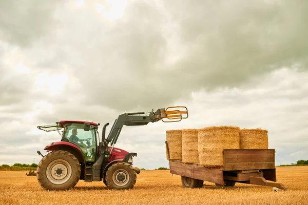 One Top Other Farmer Stacking Hale Bales Tractor His Farm — Foto de Stock