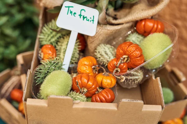 Those Who Seek Something Different Eat Cardboard Box Fruit Vegetables — 图库照片
