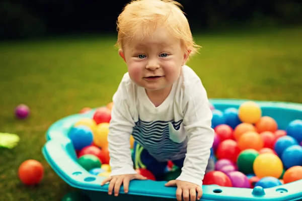 I want to live here. an adorable little boy playing in the backyard