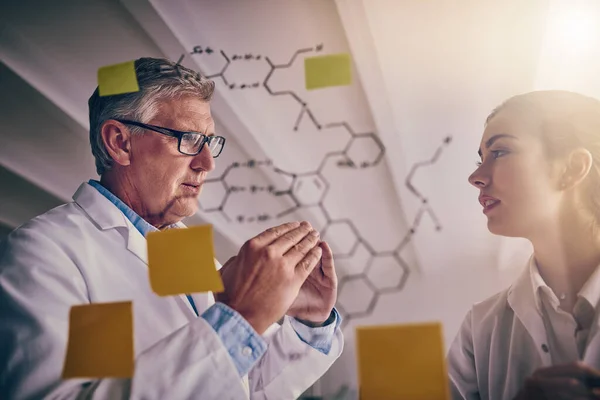 Should Look Bigger Picture Two Focused Scientists Working Together Solving — Stockfoto