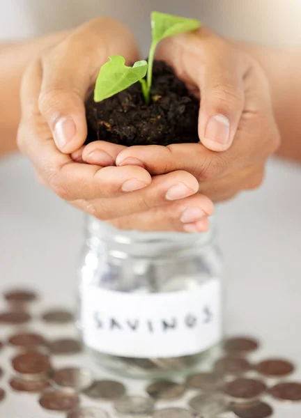 Green Economy Hands Savings Growth Investment Finance Future Money Goal — Fotografia de Stock