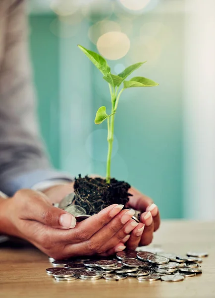 Hands Woman Her Savings Money Growing Planning Future Closeup Lady — Fotografia de Stock