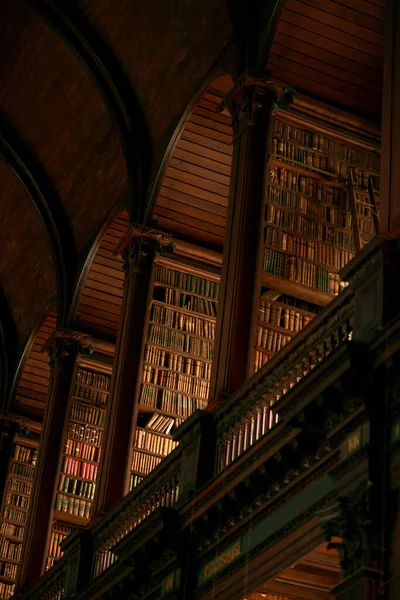 Много Можно Выбрать Большая Винтажная Библиотека Полная Книг — стоковое фото