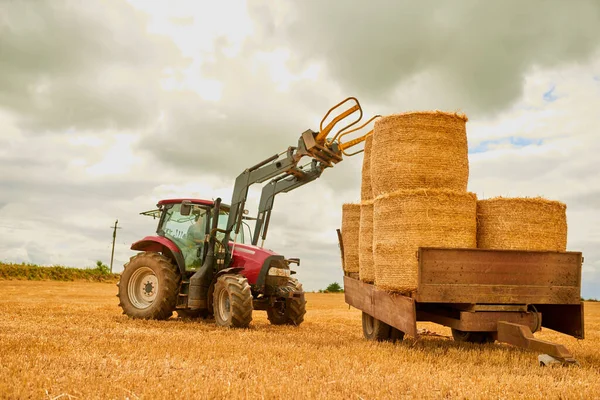 Keeping His Farm Neat Tidy Farmer Stacking Hale Bales Tractor — Foto de Stock