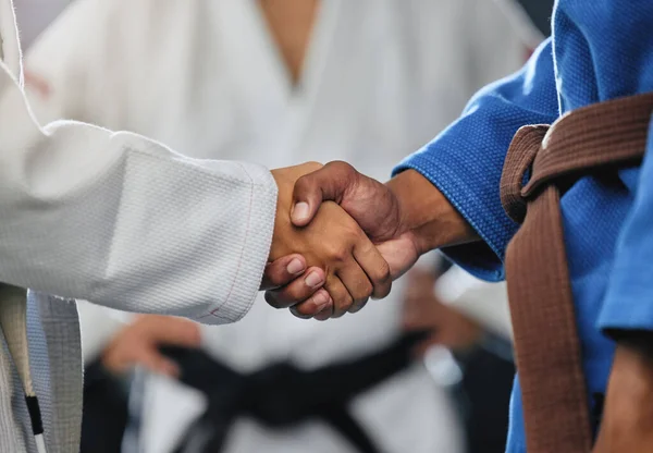 Handshake Respect Discipline Mma Karate Fight Students Shaking Hands Match — Photo