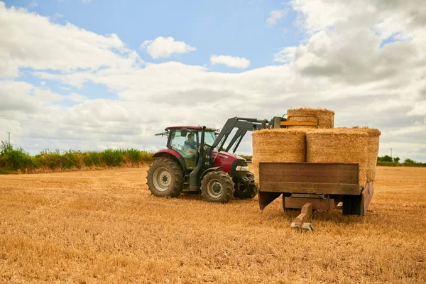 Hay Bales Wont Stack Themselves Farmer Stacking Hale Bales Tractor — Foto de Stock