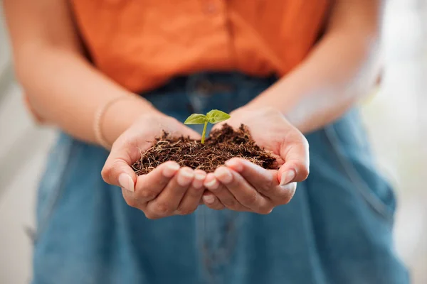 Hands Closeup Holding Growing Seeds Healthy Pot Soil Agriculture Sustainable — Fotografia de Stock