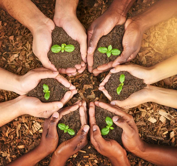 Teamwork Comes Potential Huge Growth Group People Holding Plants Growing — Photo