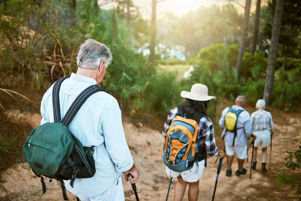 . Hiking, adventure and exploring with a group of senior friends walking on a trail in the forest or woods. Rearview of retired people taking a hike or journey on a discovery vacation outdoors