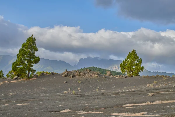 Cumbre Nueva Palma Beautiful Lava Landscape Cumbre Nueva Palma — Stockfoto