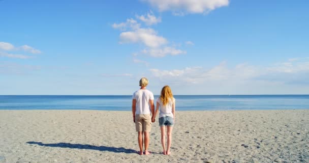 Rear View Couple Holding Hands Bonding Enjoying View Ocean Beach — Vídeo de stock