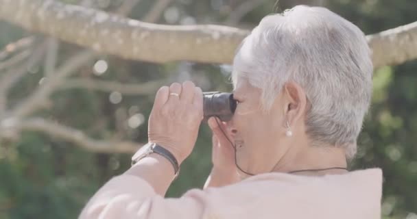 Бінокль Піші Прогулянки Свобода Старшою Жінкою Насолоджуються Спостереженням Птахами Дослідженнями — стокове відео