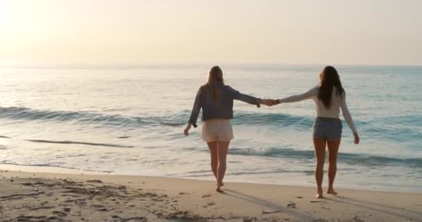 Freedom Fun Celebration Excited Lesbian Couple Celebrating Relationship Beach Getaway — Wideo stockowe