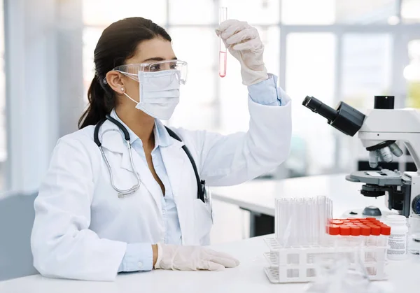 Experiment Add New Scopes Knowledge Young Scientist Working Lab — Stockfoto