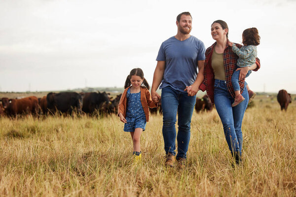 Farmer family, cow farm and bonding mother, father and children on environment or countryside sustainability agriculture field. Happy people and kids walking by cattle for meat, beef or food industry.