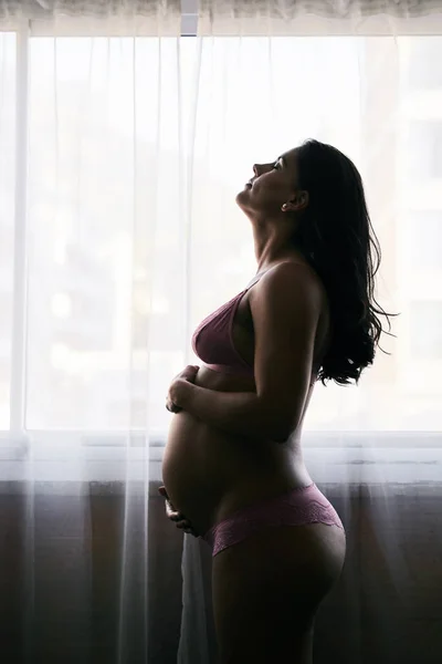 Being Mother Something Shes Always Dreamed Attractive Young Pregnant Woman — Foto Stock