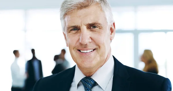 Making Great Progress Cropped Portrait Handsome Mature Businessman Standing Office — Stockfoto