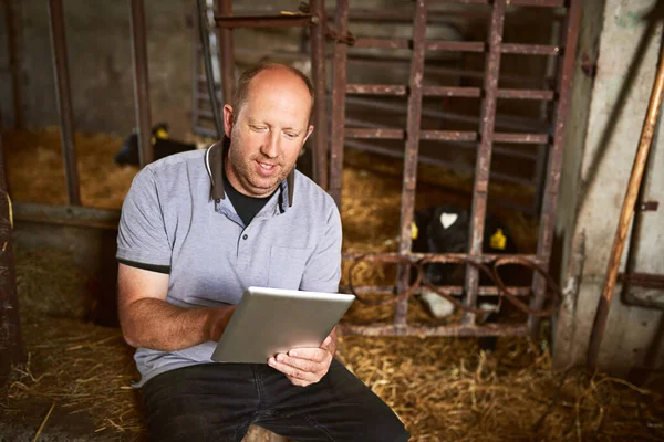 Technology can help in any industry. a male farmer using a tablet while sitting in a barn on his dairy farm