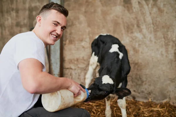 Loves His Milk Cropped Portrait Handsome Young Man Feeding Calf — Stock fotografie