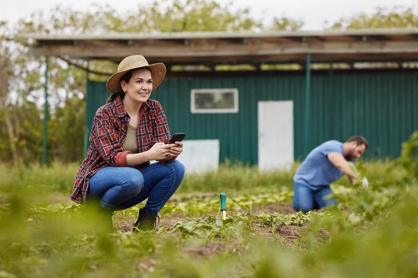 Digital Cloud Computing Farming Planning Phone Growth Sustainability Happy Farmer — Fotografia de Stock