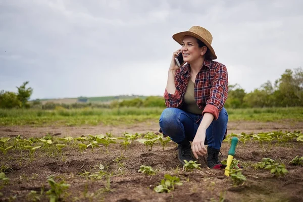 Agriculture farmer talking or networking on phone, happy with success or small business growth on a farm. Sustainability woman with good news on a cellphone call, planting vegetable crops or plants.