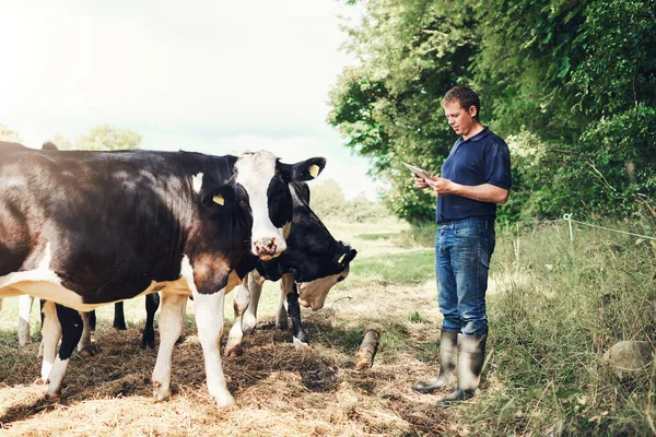 Why Did You Call Carefree Young Male Farmer Browsing Digital — Stock fotografie