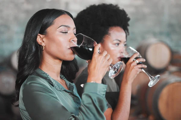 Women, wine tasting and drinking alcohol from glass in farm room, winery estate and local countryside distillery. Black friends, connoisseurs and sommeliers bonding and enjoying vineyard red merlot.