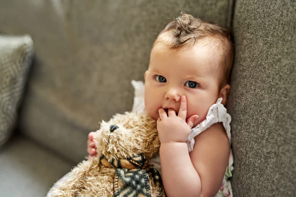 Innocence Infant Portrait Adorable Baby Girl Playing Teddybear Home — 图库照片