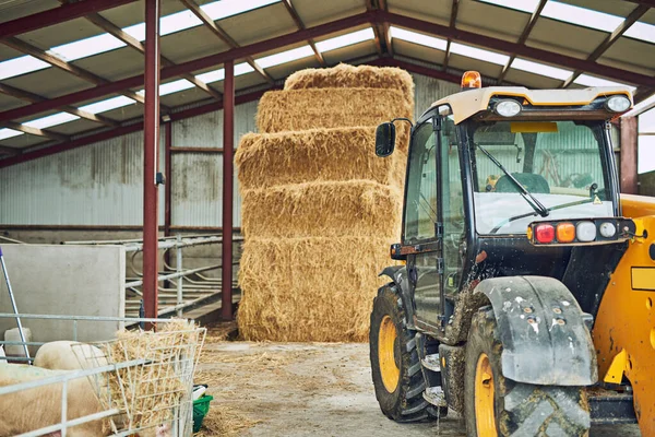 Ready Duty Agricultural Vehicle Barn Dairy Farm — Foto de Stock