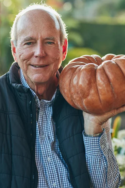 Wife Love Pie Portrait Senior Man Holding Pumpkin — Fotografia de Stock