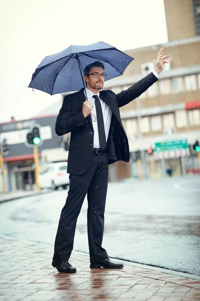 Heading Direction Success Mature Businessman Holding Umbrella Gesturing Get Cab — Stock Fotó