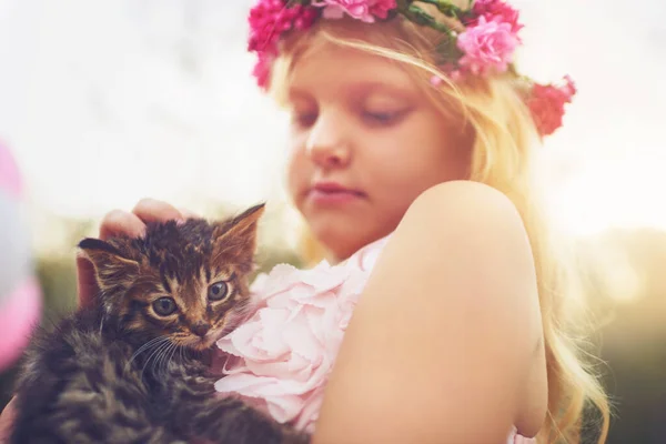 Всегда Тобой Присматривает Маленькая Девочка Держит Котенка Гладит Стоя Природе — стоковое фото