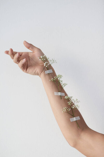 We are like plants and grow each day. plants taped to an unrecognizable persons raised arm