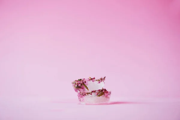 Find Beauty Small Things Studio Shot Flowers Frozen Ice Blocks — Zdjęcie stockowe