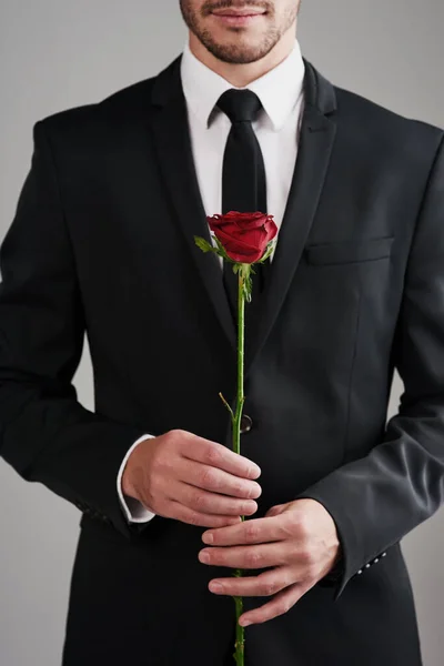 Прекрасна Роза Студийный Снимок Хорошо Одетого Мужчины Держащего Красную Розу — стоковое фото