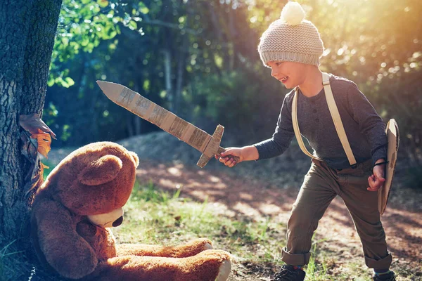 Here You Teddy Adorable Little Boy Playing Cardboard Sword Shield — Foto de Stock