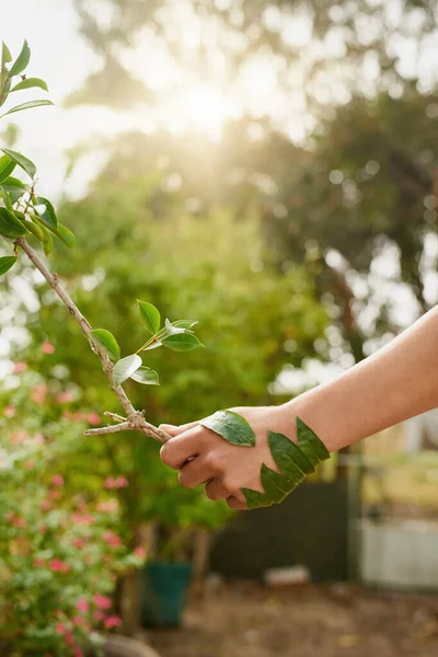 Hand Hand Nature Unidentifiable Young Man Shaking Hands Branch His — Stock Fotó