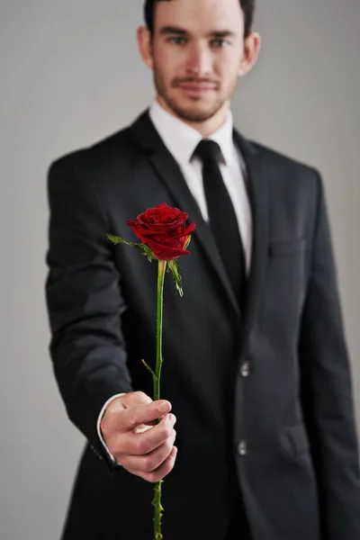 Rose You Studio Shot Well Dressed Man Holding Red Rose — Stockfoto