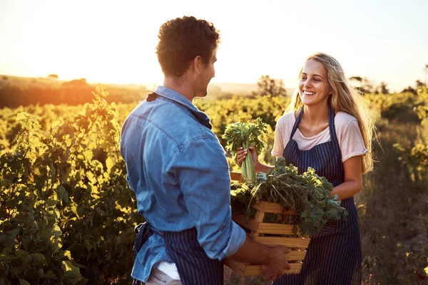 Farming Experts Doing What Best Handsome Young Man Attractive Young — Foto de Stock