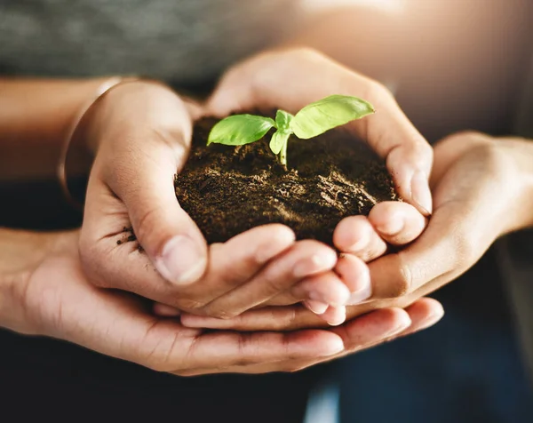 Conservation Growth Teamwork Support Hands Corporate Worker Holding Plant Leaf — Fotografia de Stock