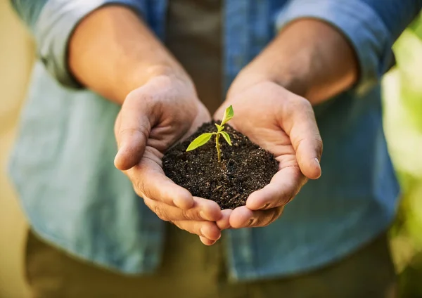 Hope Springs Eternal Unidentifiable Farmer Holding Pile Soil Seedling Growing — Fotografia de Stock