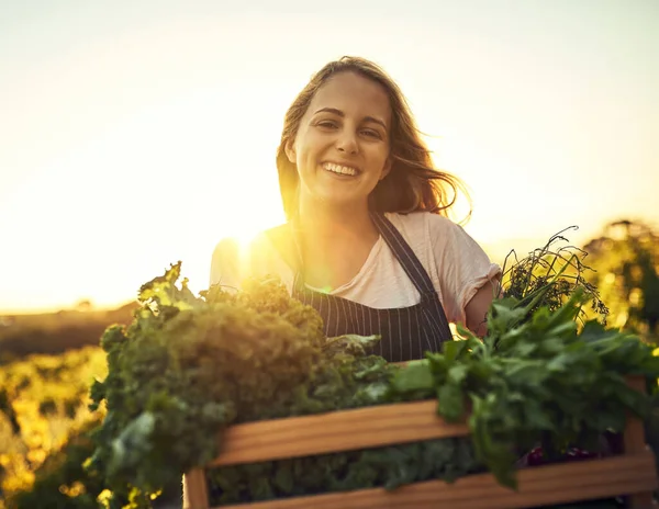 Nothing Organic Farm Young Woman Holding Crate Full Freshly Picked — 图库照片