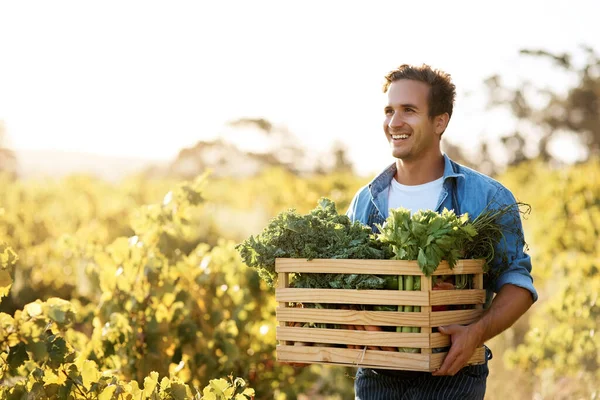 Because fresh taste better. a young man holding a crate full of freshly picked produce on a farm