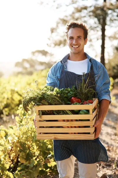 Stop Talking Start Farming Young Man Holding Crate Full Freshly — Stok fotoğraf