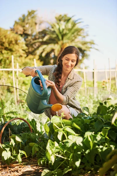 All they need is sunshine and water. a happy young farmer watering herbs with a watering can on her farm