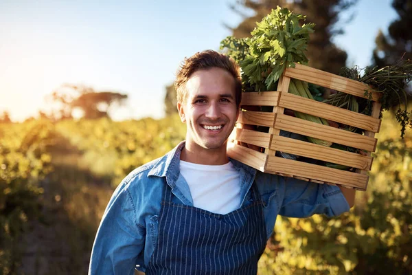 Carrying Natures Goodness Cropped Portrait Handsome Young Man Holding Crate — Stock Photo, Image