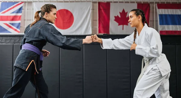 Women Martial Arts Karate Dojo Workout Exercise Health Aikido Fitness — Stockfoto