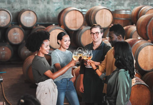 Friends, wine tasting or toasting alcohol with drink glasses in local farm distillery, winery estate or countryside room. Diversity, bonding or happy celebration people together with vineyard barrels.
