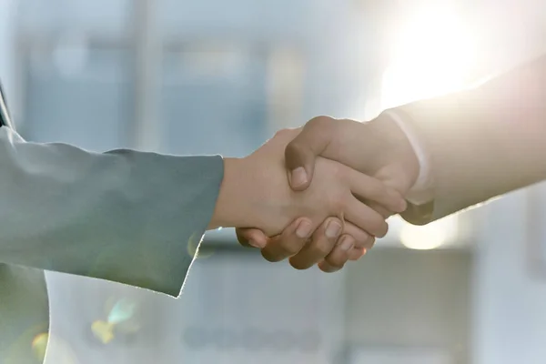 Handshake Greeting Meeting Business People Agreement Partnership Unity Trust Support — Fotografia de Stock